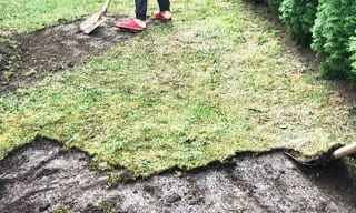 Снятие дерна старого газона в Ржеве – от 520 руб. | 2Землекопа-Ржв